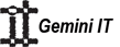Gemini IT LLC.